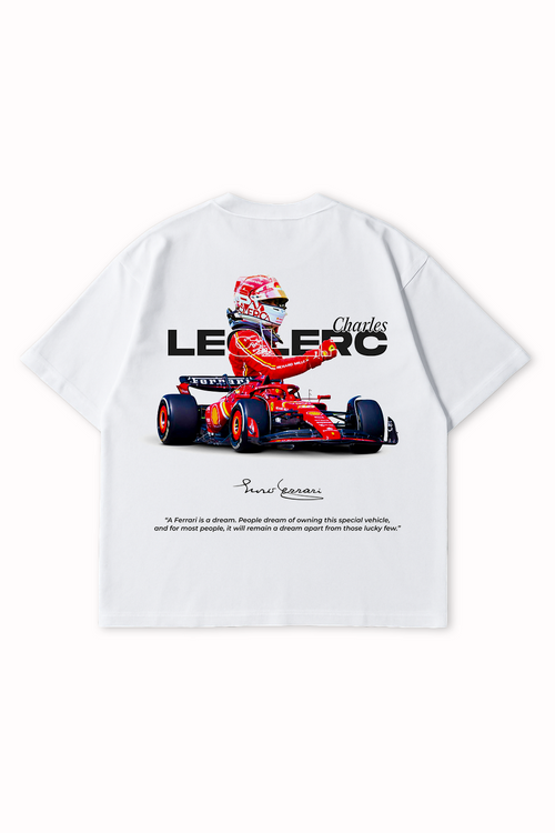 Back view of Red Bull Racing RB19 t-shirt with Formula 1 car graphic and race stats print